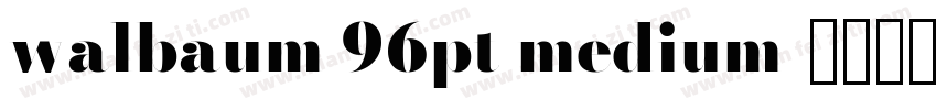 walbaum 96pt medium字体转换